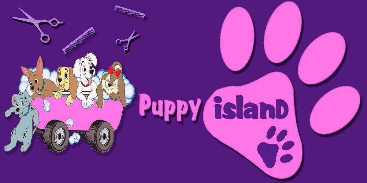 Puppy Island Grooming & Dog Spa